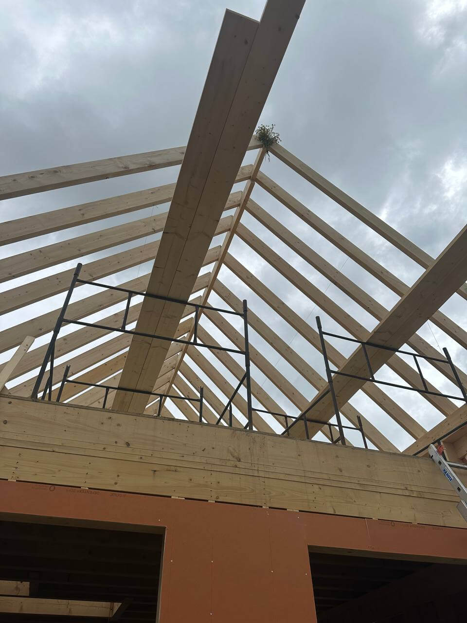 dach domu szkieletowego